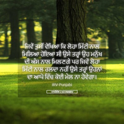 Picture 05 - ਦਾਨੀਏਲ 2:43 PANIRV - ਜਿਵੇਂ ਤੁਸੀਂ ਵੇਖਿਆ - Bible Verse Picture