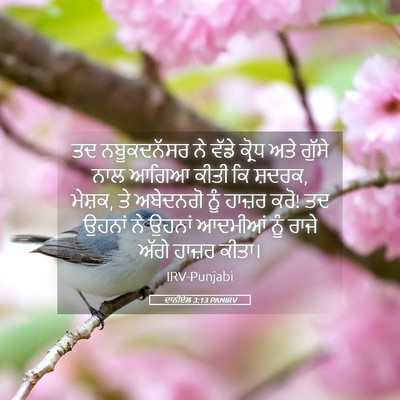 Picture 05 - ਦਾਨੀਏਲ 3:13 PANIRV - ਤਦ ਨਬੂਕਦਨੱਸਰ ਨੇ - Bible Verse Picture