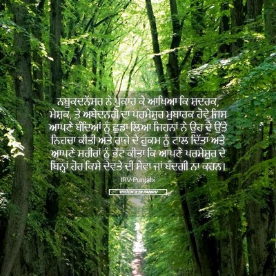 Picture 05 - ਦਾਨੀਏਲ 3:28 PANIRV - ਨਬੂਕਦਨੱਸਰ ਨੇ - Bible Verse Picture