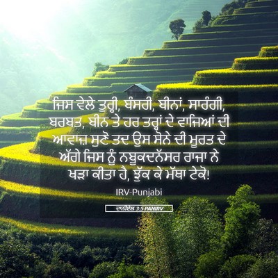 Picture 05 - ਦਾਨੀਏਲ 3:5 PANIRV - ਜਿਸ ਵੇਲੇ ਤੁਰ੍ਹੀ, - Bible Verse Picture