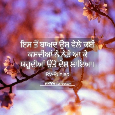 Picture 05 - ਦਾਨੀਏਲ 3:8 PANIRV - ਇਸ ਤੋਂ ਬਾਅਦ ਉਸ ਵੇਲੇ - Bible Verse Picture