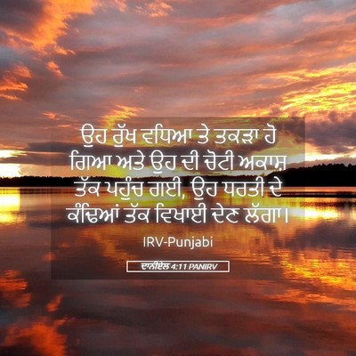 Picture 05 - ਦਾਨੀਏਲ 4:11 PANIRV - ਉਹ ਰੁੱਖ ਵਧਿਆ ਤੇ - Bible Verse Picture