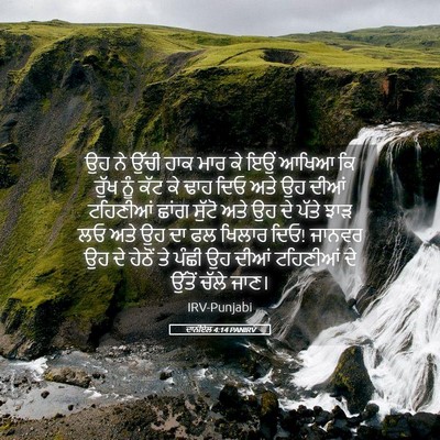 Picture 05 - ਦਾਨੀਏਲ 4:14 PANIRV - ਉਹ ਨੇ ਉੱਚੀ ਹਾਕ ਮਾਰ - Bible Verse Picture