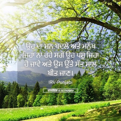 Picture 05 - ਦਾਨੀਏਲ 4:16 PANIRV - ਉਹ ਦਾ ਮਨ ਬਦਲੇ ਅਤੇ - Bible Verse Picture