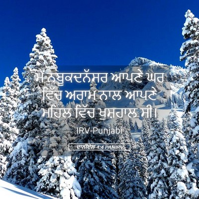 Picture 05 - ਦਾਨੀਏਲ 4:4 PANIRV - ਮੈਂ ਨਬੂਕਦਨੱਸਰ - Bible Verse Picture