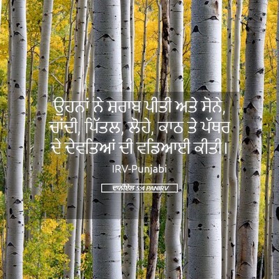 Picture 05 - ਦਾਨੀਏਲ 5:4 PANIRV - ਉਹਨਾਂ ਨੇ ਸ਼ਰਾਬ - Bible Verse Picture