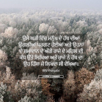Picture 05 - ਦਾਨੀਏਲ 5:5 PANIRV - ਉਸੇ ਘੜੀ ਵਿੱਚ ਮਨੁੱਖ - Bible Verse Picture