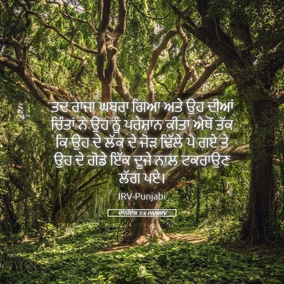 Picture 05 - ਦਾਨੀਏਲ 5:6 PANIRV - ਤਦ ਰਾਜਾ ਘਬਰਾ ਗਿਆ - Bible Verse Picture