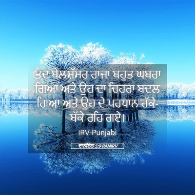 Picture 05 - ਦਾਨੀਏਲ 5:9 PANIRV - ਤਦ ਬੇਲਸ਼ੱਸਰ ਰਾਜਾ - Bible Verse Picture