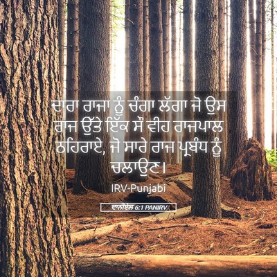 Picture 05 - ਦਾਨੀਏਲ 6:1 PANIRV - ਦਾਰਾ ਰਾਜਾ ਨੂੰ ਚੰਗਾ - Bible Verse Picture
