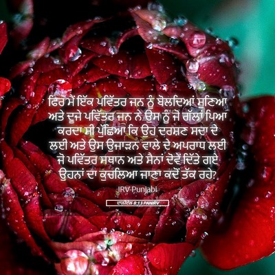 Picture 05 - ਦਾਨੀਏਲ 8:13 PANIRV - ਫਿਰ ਮੈਂ ਇੱਕ ਪਵਿੱਤਰ - Bible Verse Picture