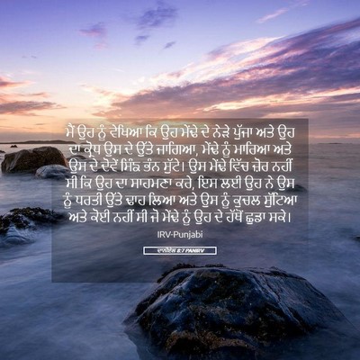 Picture 05 - ਦਾਨੀਏਲ 8:7 PANIRV - ਮੈਂ ਉਹ ਨੂੰ ਵੇਖਿਆ ਕਿ - Bible Verse Picture