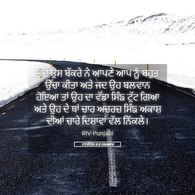 Picture 05 - ਦਾਨੀਏਲ 8:8 PANIRV - ਤਦ ਉਸ ਬੱਕਰੇ ਨੇ ਆਪਣੇ - Bible Verse Picture