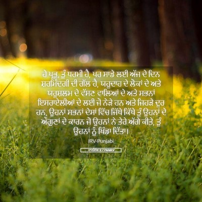 Picture 05 - ਦਾਨੀਏਲ 9:7 PANIRV - ਹੇ ਪ੍ਰਭੂ, ਤੂੰ ਧਰਮੀ - Bible Verse Picture