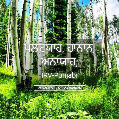 Picture 05 - ਨਹਮਯਾਹ 10:22 PANIRV - ਪਲਟਯਾਹ, ਹਾਨਾਨ, - Bible Verse Picture