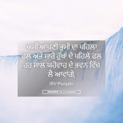 Picture 05 - ਨਹਮਯਾਹ 10:35 PANIRV - ਅਸੀਂ ਆਪਣੀ ਭੂਮੀ ਦਾ - Bible Verse Picture