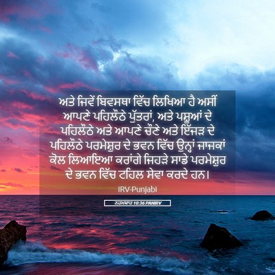 Picture 05 - ਨਹਮਯਾਹ 10:36 PANIRV - ਅਤੇ ਜਿਵੇਂ ਬਿਵਸਥਾ - Bible Verse Picture