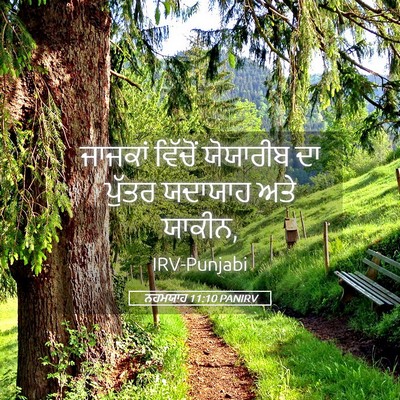 Picture 05 - ਨਹਮਯਾਹ 11:10 PANIRV - ਜਾਜਕਾਂ ਵਿੱਚੋਂ - Bible Verse Picture