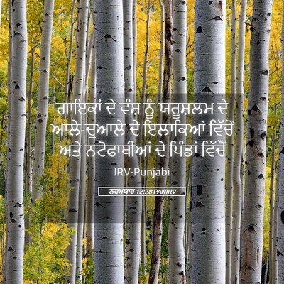 Picture 05 - ਨਹਮਯਾਹ 12:28 PANIRV - ਗਾਇਕਾਂ ਦੇ ਵੰਸ਼ ਨੂੰ - Bible Verse Picture