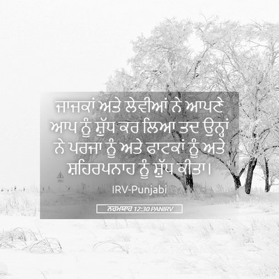 Picture 05 - ਨਹਮਯਾਹ 12:30 PANIRV - ਜਾਜਕਾਂ ਅਤੇ ਲੇਵੀਆਂ - Bible Verse Picture