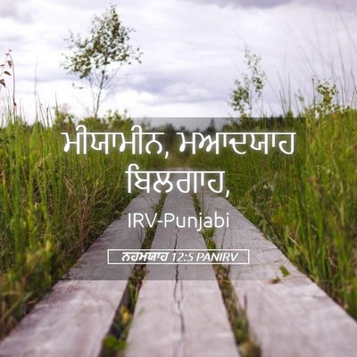 Picture 05 - ਨਹਮਯਾਹ 12:5 PANIRV - ਮੀਯਾਮੀਨ, ਮਆਦਯਾਹ - Bible Verse Picture