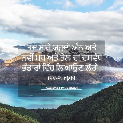 Picture 05 - ਨਹਮਯਾਹ 13:12 PANIRV - ਤਦ ਸਾਰੇ ਯਹੂਦੀ ਅੰਨ - Bible Verse Picture