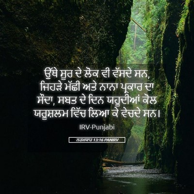 Picture 05 - ਨਹਮਯਾਹ 13:16 PANIRV - ਉੱਥੇ ਸੂਰ ਦੇ ਲੋਕ ਵੀ - Bible Verse Picture