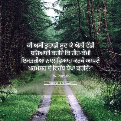 Picture 05 - ਨਹਮਯਾਹ 13:27 PANIRV - ਕੀ ਅਸੀਂ ਤੁਹਾਡੀ ਸੁਣ - Bible Verse Picture
