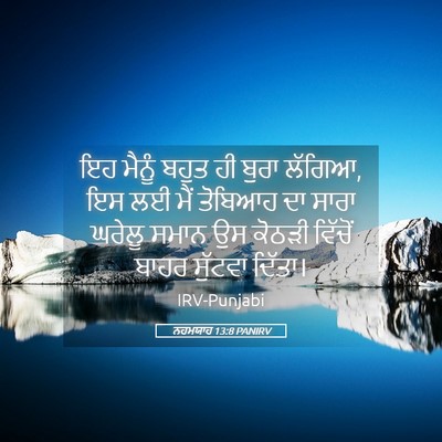 Picture 05 - ਨਹਮਯਾਹ 13:8 PANIRV - ਇਹ ਮੈਨੂੰ ਬਹੁਤ ਹੀ - Bible Verse Picture