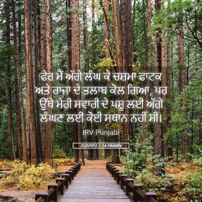 Picture 05 - ਨਹਮਯਾਹ 2:14 PANIRV - ਫੇਰ ਮੈਂ ਅੱਗੇ ਲੰਘ ਕੇ - Bible Verse Picture
