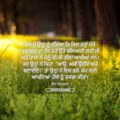 Picture 05 - ਨਹਮਯਾਹ 2:18 PANIRV - ਤਦ ਮੈਂ ਉਨ੍ਹਾਂ ਨੂੰ - Bible Verse Picture