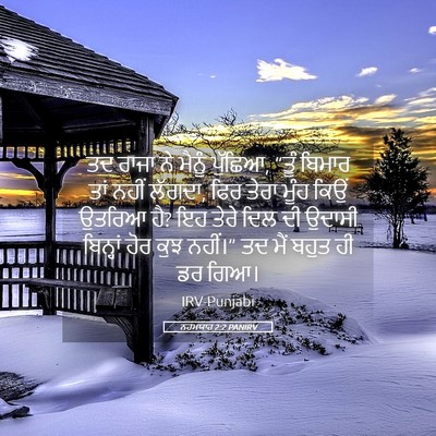 Picture 05 - ਨਹਮਯਾਹ 2:2 PANIRV - ਤਦ ਰਾਜਾ ਨੇ ਮੈਨੂੰ - Bible Verse Picture