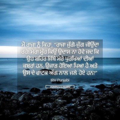 Picture 05 - ਨਹਮਯਾਹ 2:3 PANIRV - ਮੈਂ ਰਾਜਾ ਨੂੰ ਕਿਹਾ, - Bible Verse Picture