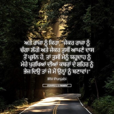 Picture 05 - ਨਹਮਯਾਹ 2:5 PANIRV - ਅਤੇ ਰਾਜਾ ਨੂੰ ਕਿਹਾ, - Bible Verse Picture