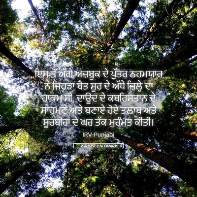 Picture 05 - ਨਹਮਯਾਹ 3:16 PANIRV - ਇਸ ਤੋਂ ਅੱਗੇ ਅਜ਼ਬੂਕ - Bible Verse Picture