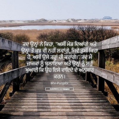 Picture 05 - ਨਹਮਯਾਹ 5:12 PANIRV - ਤਦ ਉਨ੍ਹਾਂ ਨੇ ਕਿਹਾ, - Bible Verse Picture