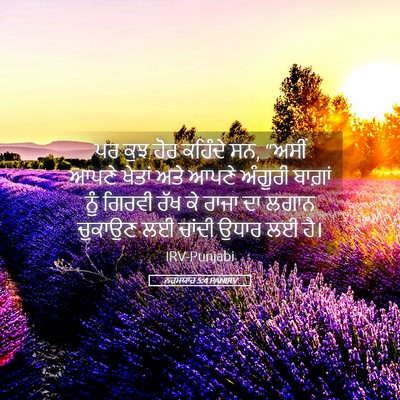 Picture 05 - ਨਹਮਯਾਹ 5:4 PANIRV - ਪਰ ਕੁਝ ਹੋਰ ਕਹਿੰਦੇ - Bible Verse Picture
