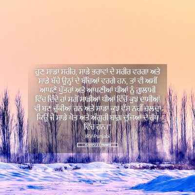 Picture 05 - ਨਹਮਯਾਹ 5:5 PANIRV - ਹੁਣ ਸਾਡਾ ਸਰੀਰ, ਸਾਡੇ - Bible Verse Picture