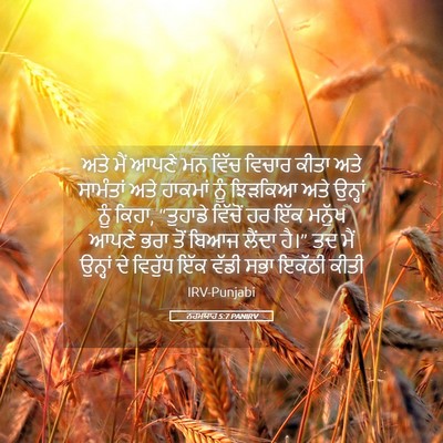 Picture 05 - ਨਹਮਯਾਹ 5:7 PANIRV - ਅਤੇ ਮੈਂ ਆਪਣੇ ਮਨ - Bible Verse Picture
