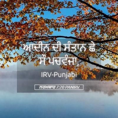 Picture 05 - ਨਹਮਯਾਹ 7:20 PANIRV - ਆਦੀਨ ਦੀ ਸੰਤਾਨ ਛੇ ਸੌ - Bible Verse Picture
