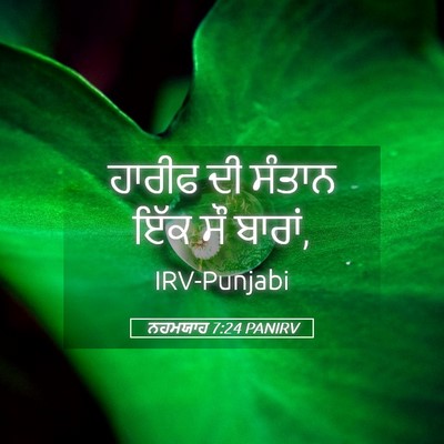 Picture 05 - ਨਹਮਯਾਹ 7:24 PANIRV - ਹਾਰੀਫ ਦੀ ਸੰਤਾਨ ਇੱਕ - Bible Verse Picture