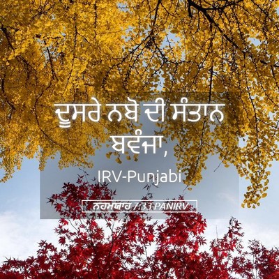 Picture 05 - ਨਹਮਯਾਹ 7:33 PANIRV - ਦੂਸਰੇ ਨਬੋ ਦੀ ਸੰਤਾਨ - Bible Verse Picture