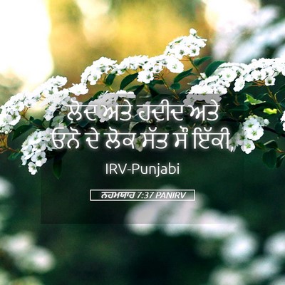 Picture 05 - ਨਹਮਯਾਹ 7:37 PANIRV - ਲੋਦ ਅਤੇ ਹਦੀਦ ਅਤੇ - Bible Verse Picture