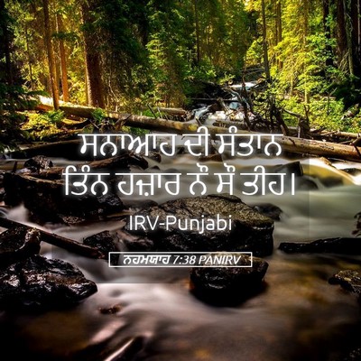 Picture 05 - ਨਹਮਯਾਹ 7:38 PANIRV - ਸਨਾਆਹ ਦੀ ਸੰਤਾਨ - Bible Verse Picture