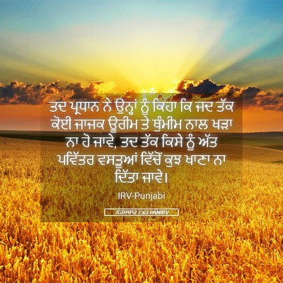 Picture 05 - ਨਹਮਯਾਹ 7:65 PANIRV - ਤਦ ਪ੍ਰਧਾਨ ਨੇ - Bible Verse Picture