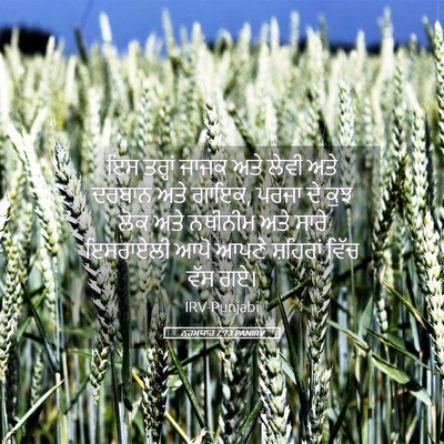 Picture 05 - ਨਹਮਯਾਹ 7:73 PANIRV - ਇਸ ਤਰ੍ਹਾਂ ਜਾਜਕ ਅਤੇ - Bible Verse Picture