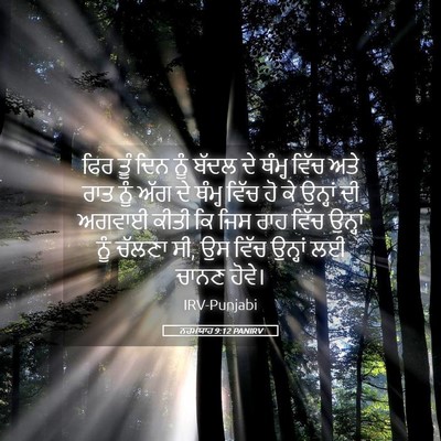 Picture 05 - ਨਹਮਯਾਹ 9:12 PANIRV - ਫਿਰ ਤੂੰ ਦਿਨ ਨੂੰ - Bible Verse Picture