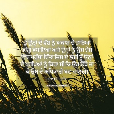 Picture 05 - ਨਹਮਯਾਹ 9:23 PANIRV - ਤੂੰ ਉਨ੍ਹਾਂ ਦੇ ਵੰਸ਼ - Bible Verse Picture