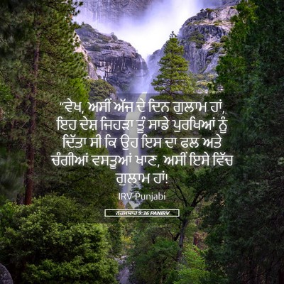 Picture 05 - ਨਹਮਯਾਹ 9:36 PANIRV - “ਵੇਖ, ਅਸੀਂ ਅੱਜ ਦੇ - Bible Verse Picture
