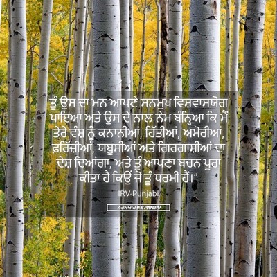 Picture 05 - ਨਹਮਯਾਹ 9:8 PANIRV - ਤੂੰ ਉਸ ਦਾ ਮਨ ਆਪਣੇ - Bible Verse Picture